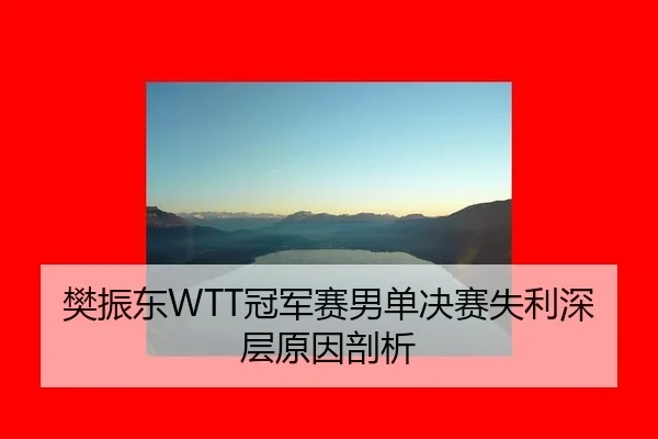 樊振东WTT冠军赛男单决赛失利深层原因剖析
